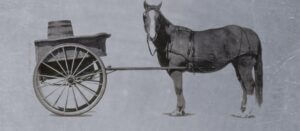 Cart and horse, with cart before the horse